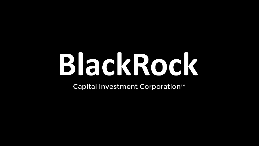BlackRock Investment Corporation - DEO debatmøde