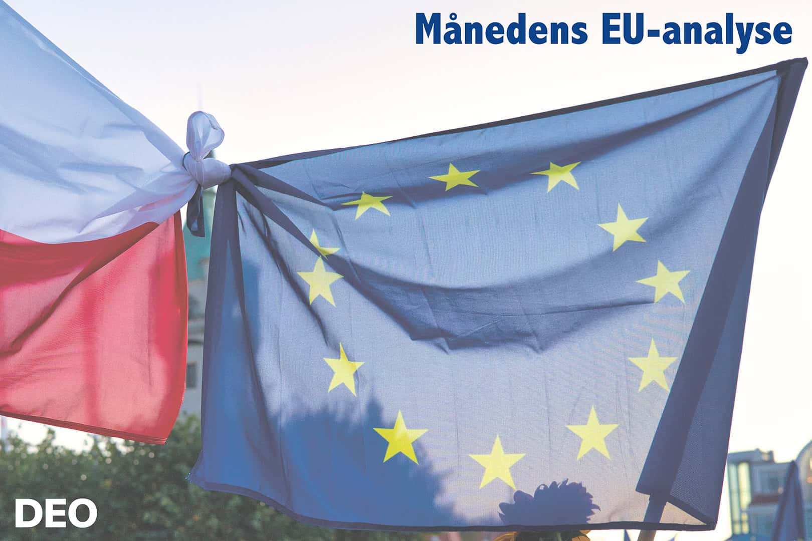 Månedens Eu Analyse Nov25
